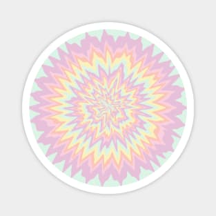 Psychedelic Rainbow Explosion Magnet